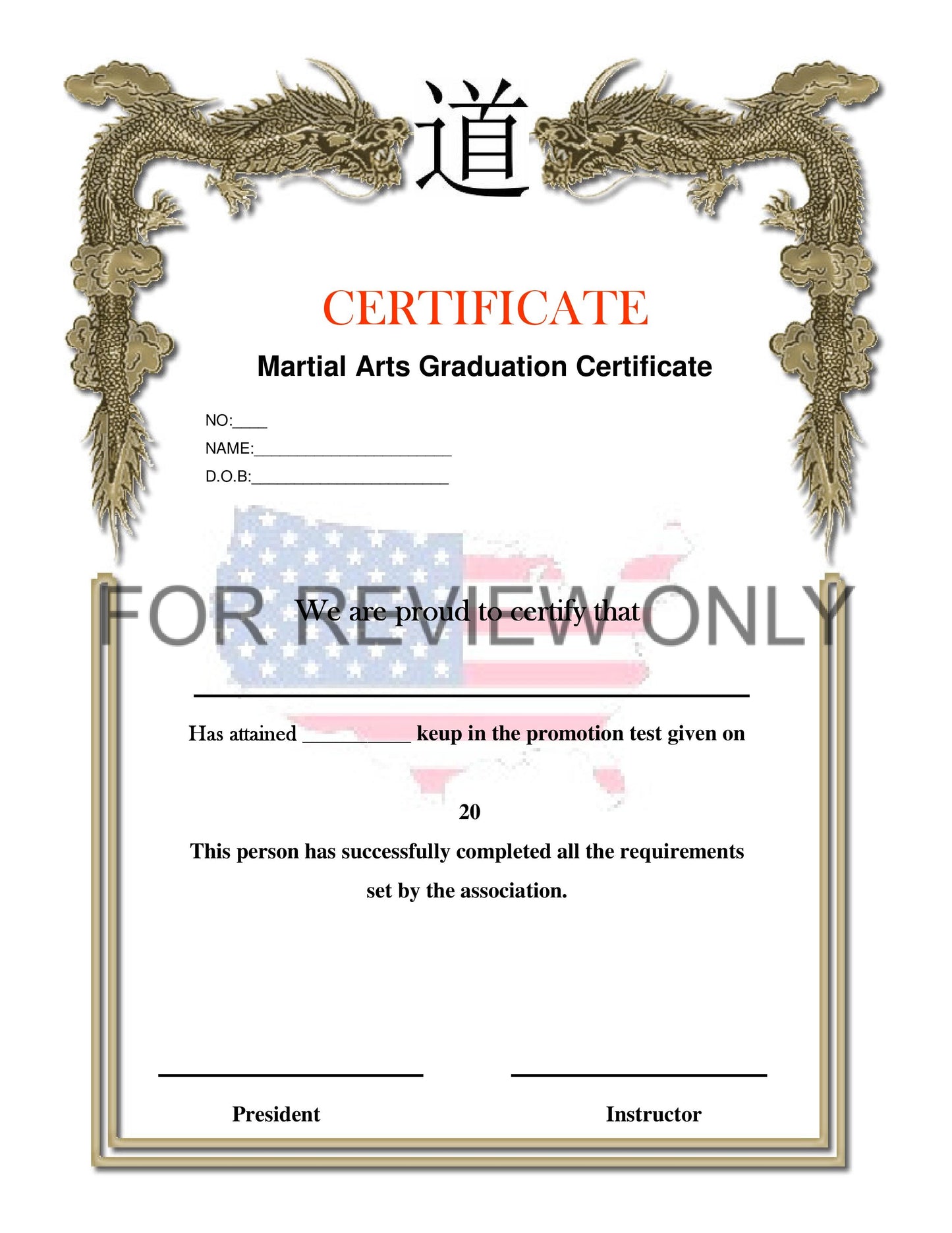 Martial Arts Graduation Certificate