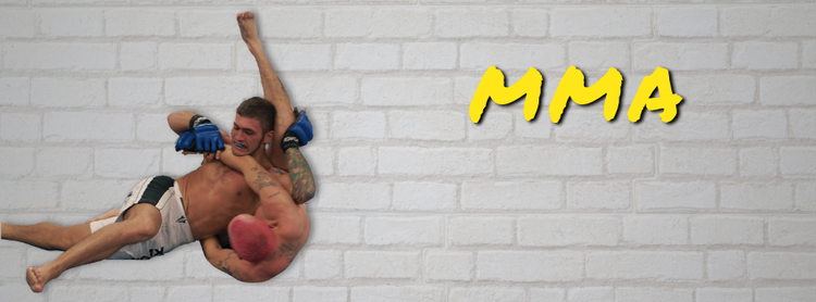 Mixed Martial Arts