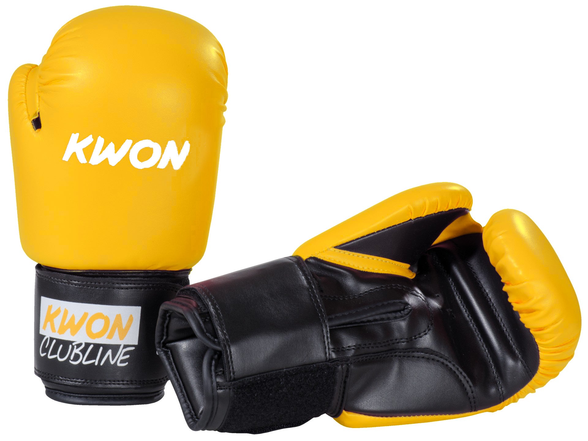 POINTER 10oz. Boxing Gloves -Pink; -Red; -Blue; -Yellow; -Black – KWON USA